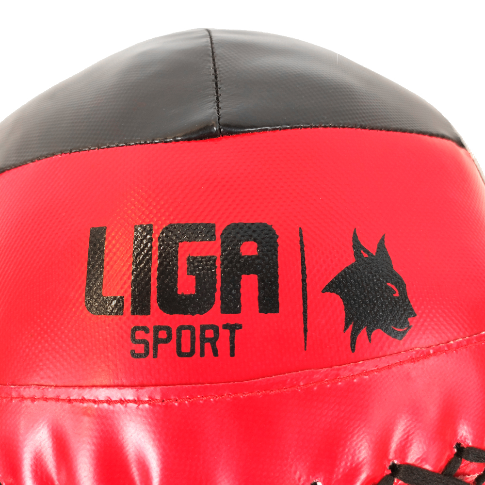 WALL BALL 8 KG LIGASPORT