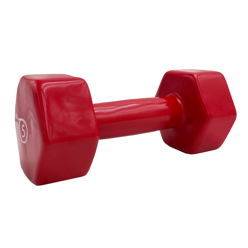 VINYL DUMBBELL ΑΛΤΗΡΑΣ ΒΙΝΥΛΙΟΥ 5kg (RED) LIGASPORT