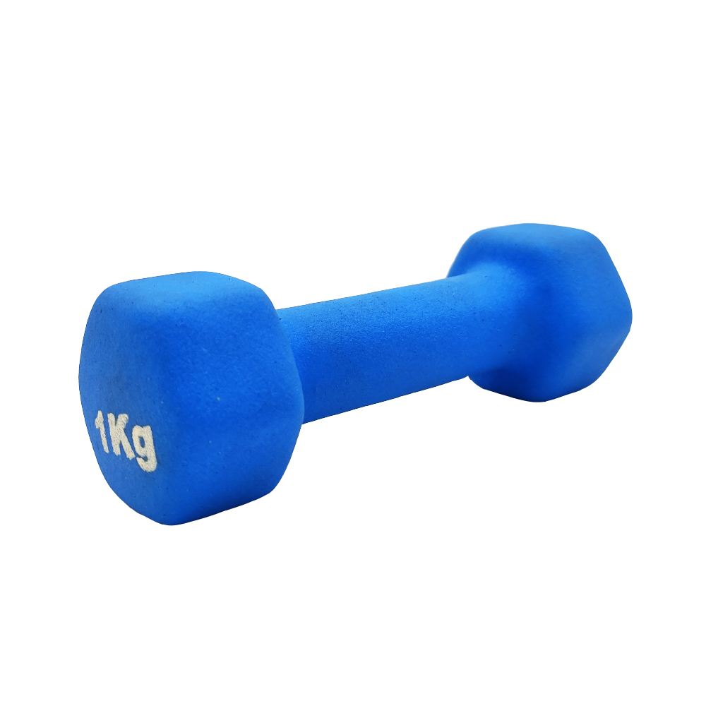 VINYL DUMBBELL ΑΛΤΗΡΑΣ ΒΙΝΥΛΙΟΥ 1kg (χρώμα γαλάζιο) LIGASPORT