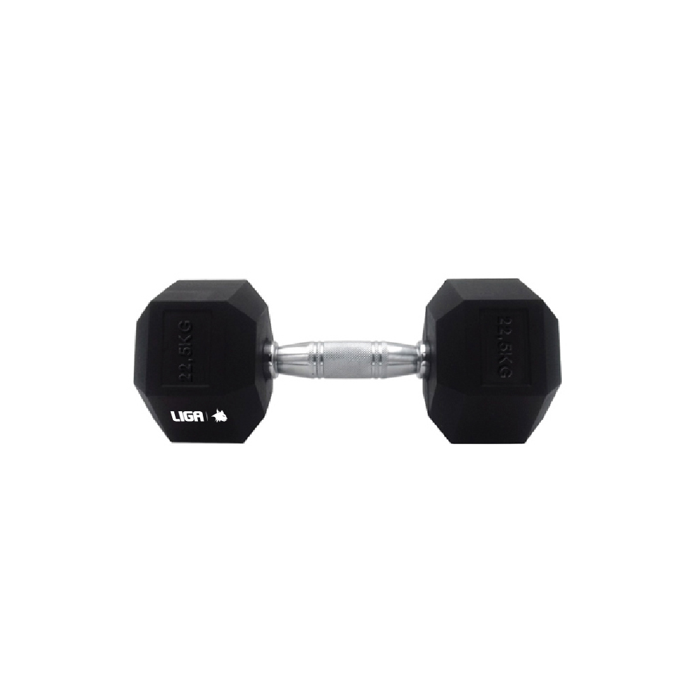 DUMBBELL-22,5kg (ΑΛΤΗΡΑΣ) LIGASPORT