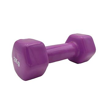 VINYL DUMBBELL ΑΛΤΗΡΑΣ ΒΙΝΥΛΙΟΥ 2kg (χρώμα μώβ) LIGASPORT