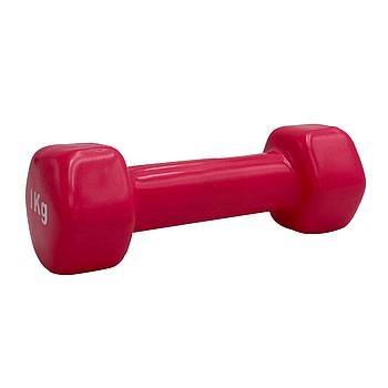 VINYL DUMBBELL ΑΛΤΗΡΑΣ ΒΙΝΥΛΙΟΥ 1kg (χρώμα ρόζ) LIGASPORT