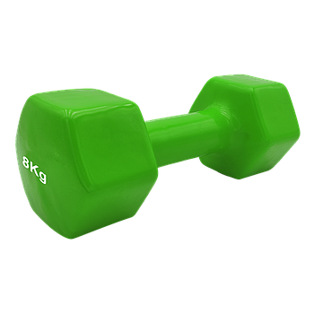 VINYL DUMBBELL ΑΛΤΗΡΑΣ ΒΙΝΥΛΙΟΥ 8kg (χρώμα πράσινο) LIGASPORT