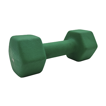 VINYL DUMBBELL ΑΛΤΗΡΑΣ ΒΙΝΥΛΙΟΥ 4kg (GREEN) LIGASPORT